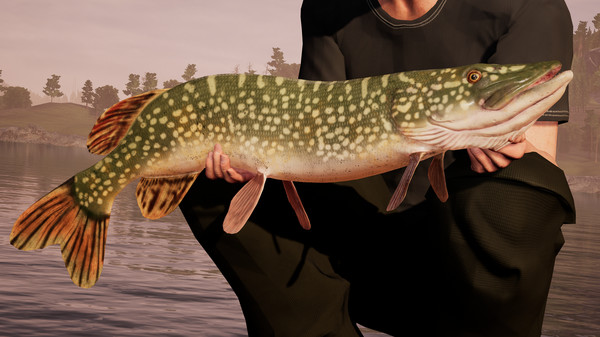 Download Fishing Sim World Torrent Download Fishing Sim World Torrent