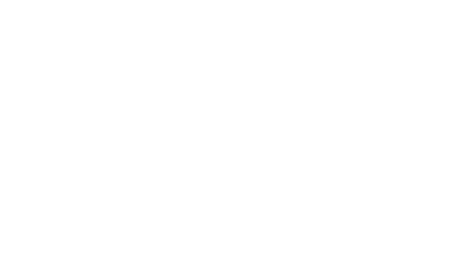 VEIN server hosting logo