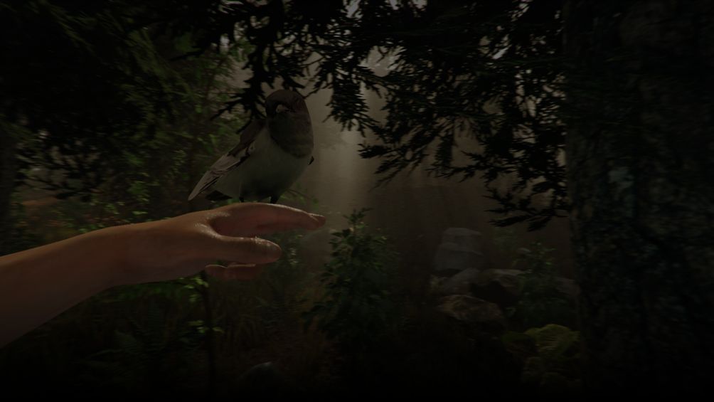 The Forest server hosting background