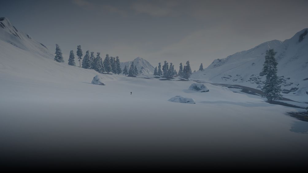 RUST server hosting background