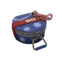 Winter 2025 Cosmetic Case