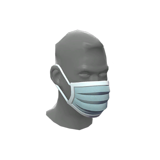 Particulate Protector