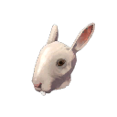 Horrific Head of Hare