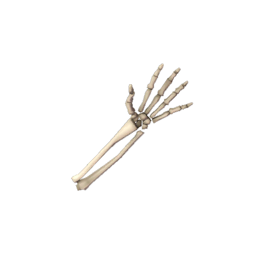 Voodoo-Cursed Skeleton