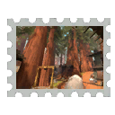 Map Stamp - Redwood