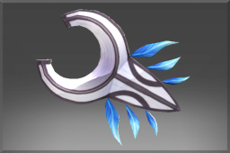 Umbra Rider Shield