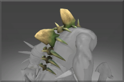 Cerebral Support