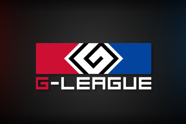 Icon for G-League 2013