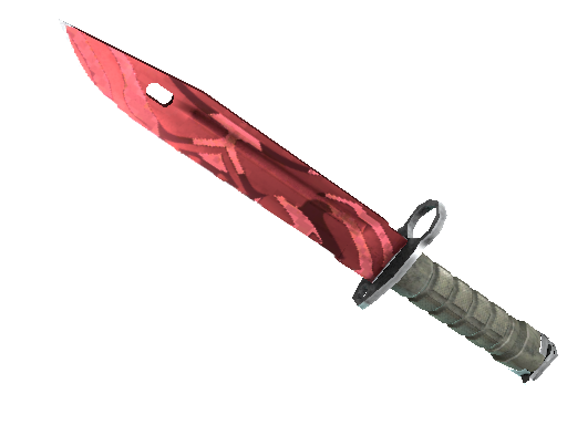 Bayonet  Slaughter - CS2 Stash