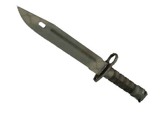 ★ Bayonet | Safari Mesh (Well-Worn)