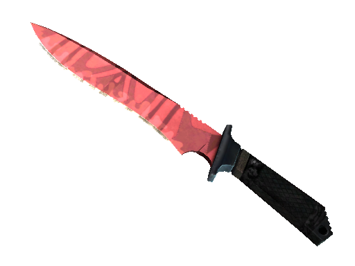 ★ Classic Knife | Slaughter (Field-Tested)