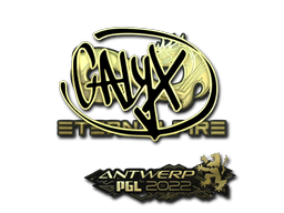 Calyx (Dourado) | Antuérpia 2022