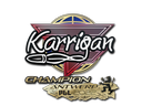 Sticker | karrigan (Champion) | Antwerp 2022 - $ 0.03