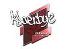 Наклейка: Kjaerbye | Бостон 2018