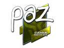 paz (металлическая) | Бостон 2018
