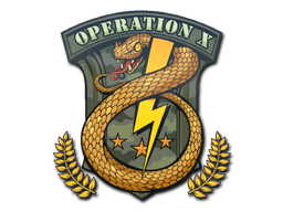 Badge of Service