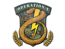 Badge of Service