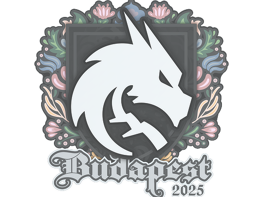 Team Spirit | Budapest 2025