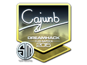 cajunb (металлическая) | Клуж-Напока 2015