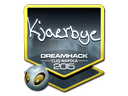 sig_kjaerbye_foil.e19808d6d0e0bc9e5682d59597fe77fe2ddac287.png