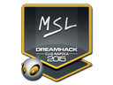 MSL | Cluj-Napoca 2015