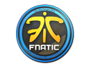 Fnatic | Cologne 2014