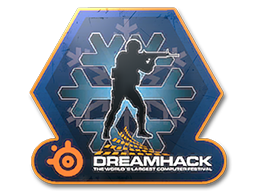 2013 DreamHack Winter