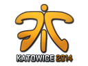 Fnatic (Holo) | Katowice 2014