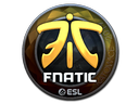 Fnatic (металлическая) | Катовице 2019