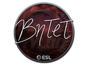 Наклейка: BnTeT (металлическая) | Катовице 2019