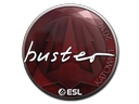 Наклейка: buster | Катовице 2019