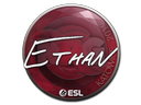 Наклейка: Ethan | Катовице 2019