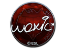 woxic (Foil) | Katowice 2019