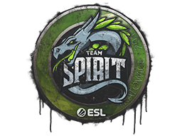 Grafíti selado | Team Spirit | Katowice 2019