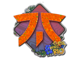 sticker_Sticker | Fnatic (Glitter) | Rio 2022