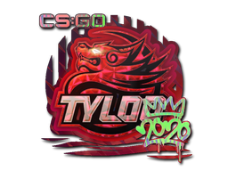 TYLOO (Holográfico) | CRM 2020