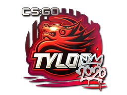 TYLOO | CRM 2020