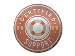 Sticker | Support (Foil)