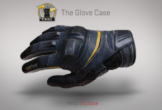 glove case gloves