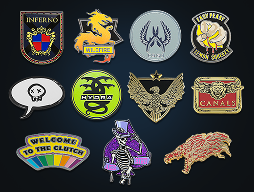 Cs go pins что это