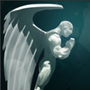 Guardian Angel 5266