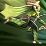 Windrun 5132