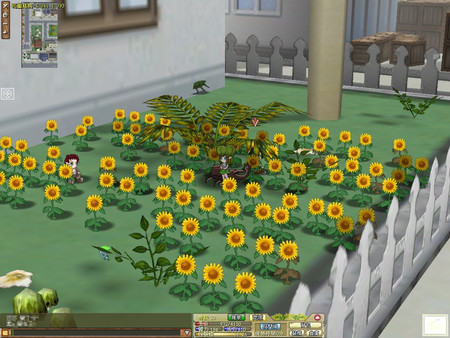 Beetle Elffor windows and Linux 1