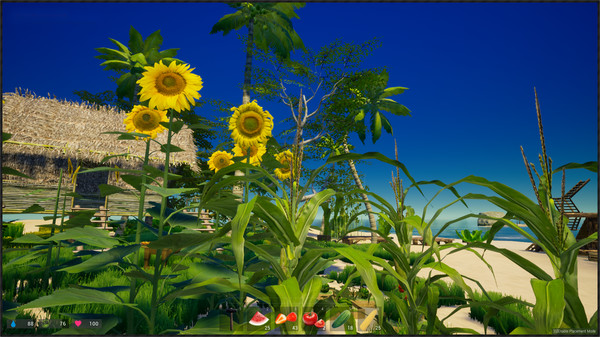 My Island game for Linux 1