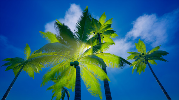 My Islandfor windows and Linux 1