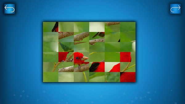 PUZZLE: BIRDS recommended requirements