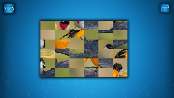 Скриншот из PUZZLE: BIRDS