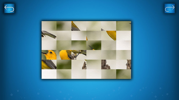 Скриншот из PUZZLE: BIRDS