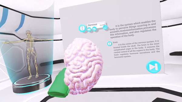 Скриншот из VRLab Academy: Anatomy VR