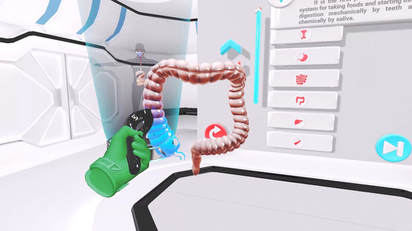 Скриншот из VRLab Academy: Anatomy VR